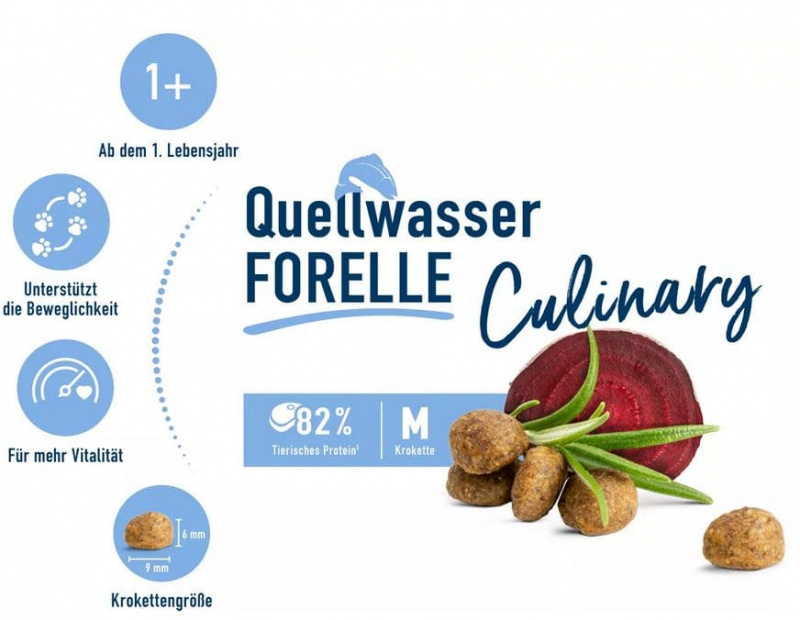 Adult Quellwasser-Forelle 300 g